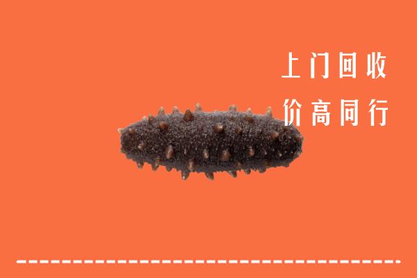 辽源高价回收海参